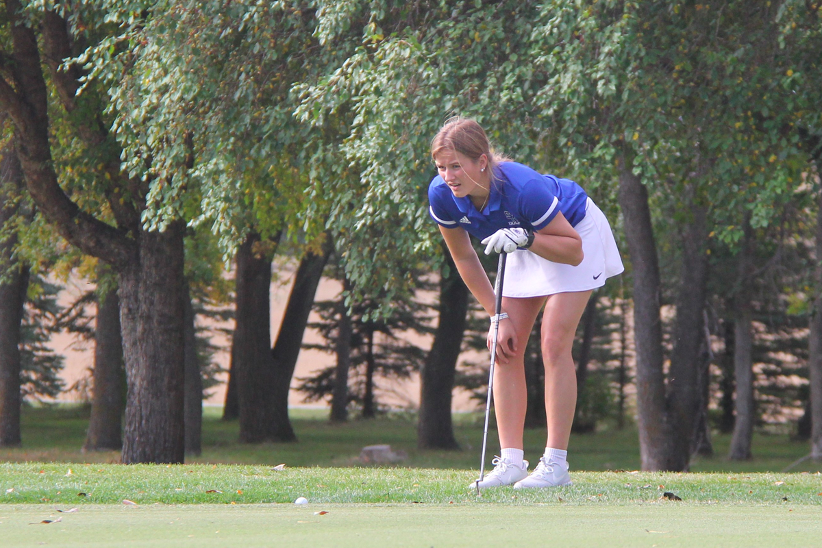 Welcome to the new WDA Sports Website!