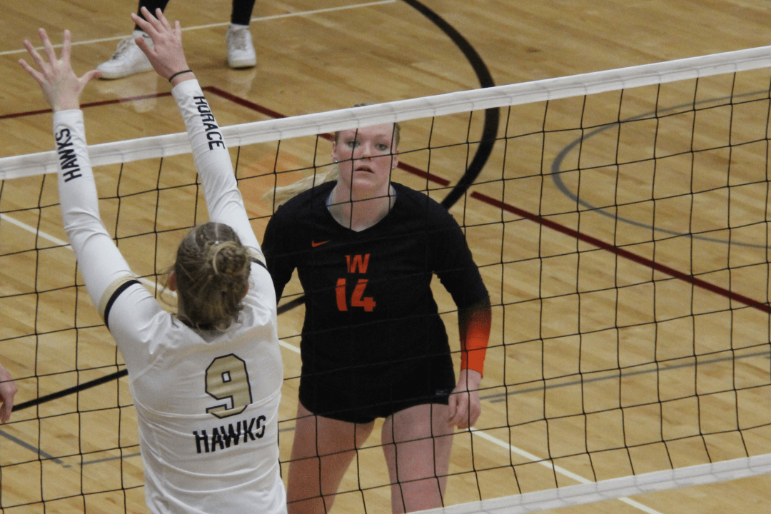 Eleven to watch on the WDA volleyball court