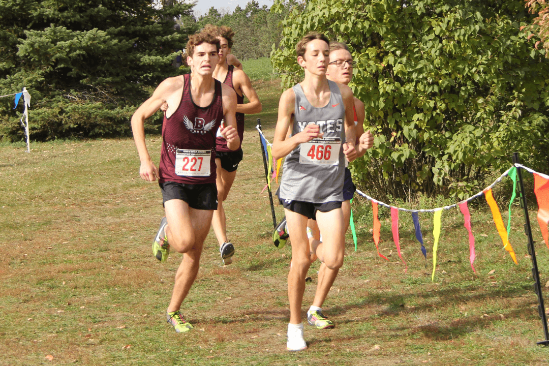 Bismarck High sweeps to WDA titles