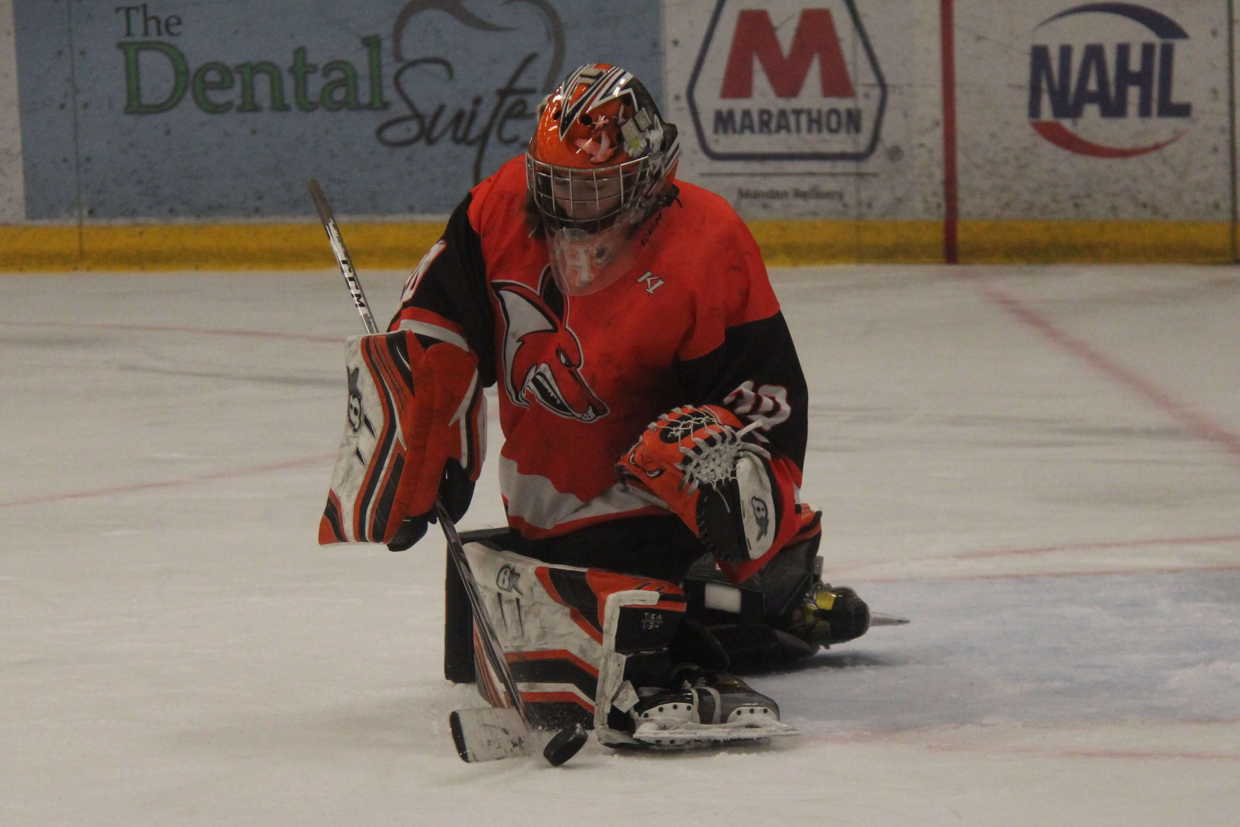 Seven to watch this season on the ice