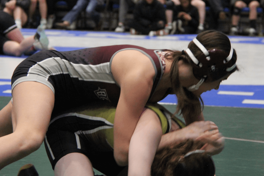 WDA girls' wrestlers set for state tournament