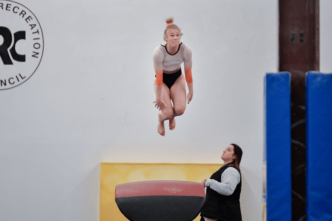 WDA gymnasts head to state competition