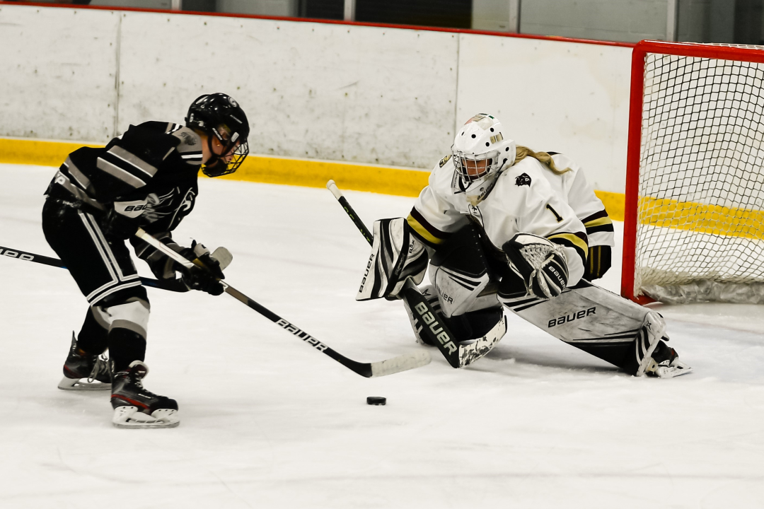 Three WDA teams part of ND girls' hockey tournament field