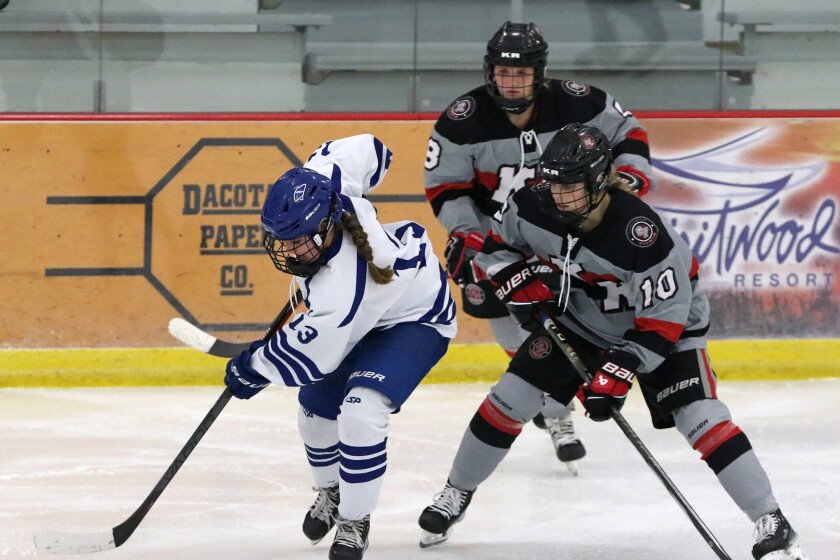 Seven WDA players to watch this season on the ice