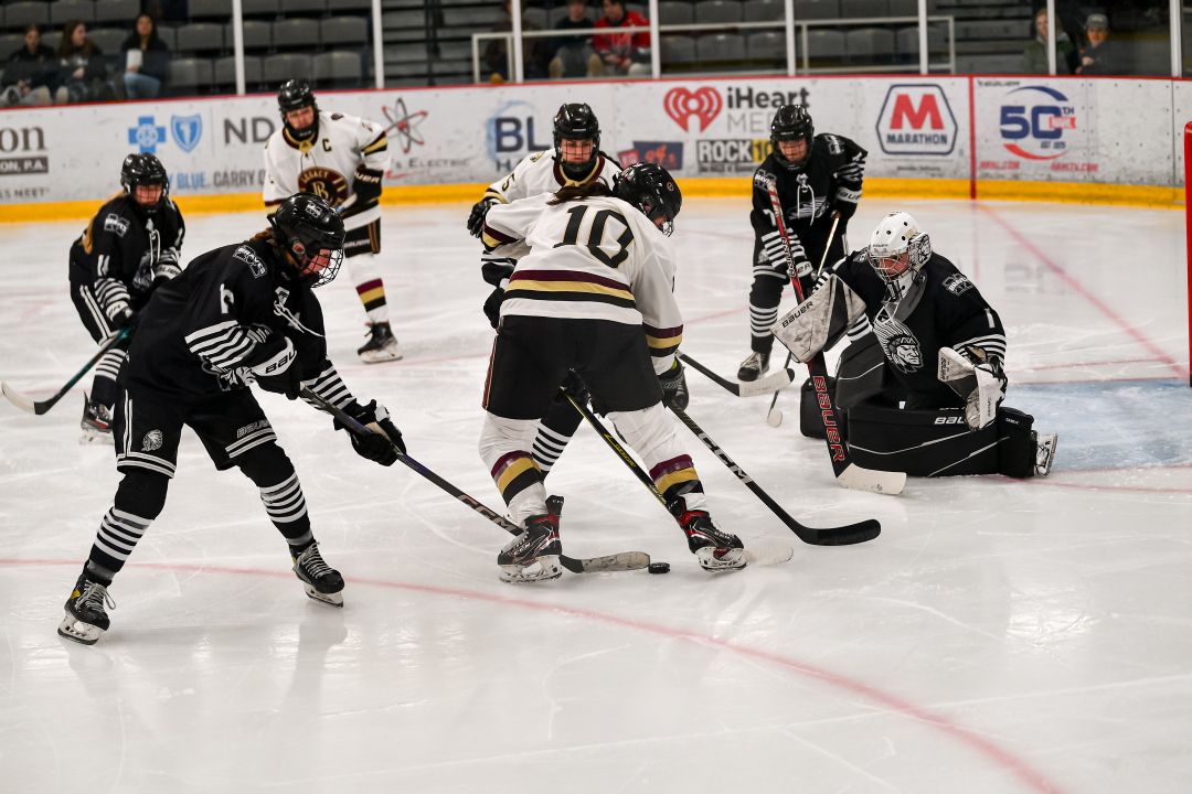 Four WDA teams part of ND state girls' hockey field