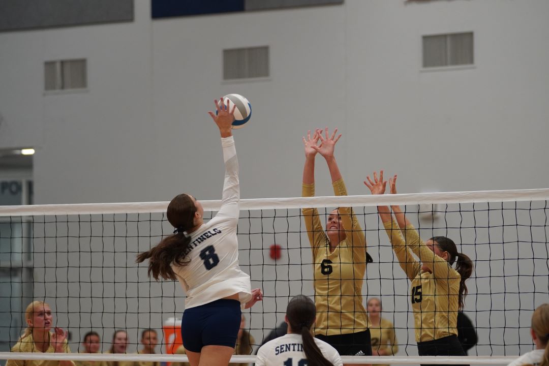 Players to watch on the volleyball court