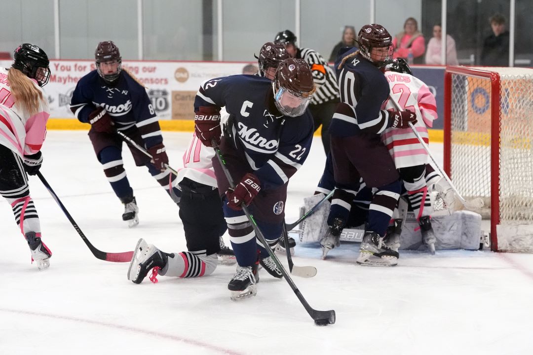 Seven WDA players to keep an eye on this girls' hockey season