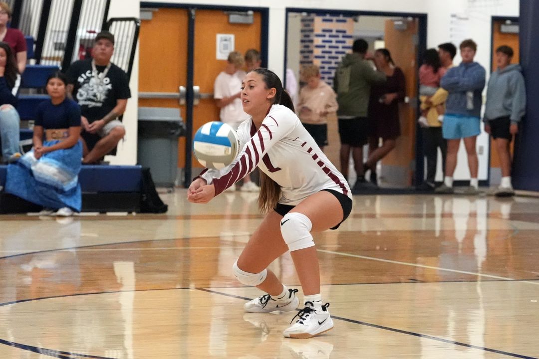 Volleyball