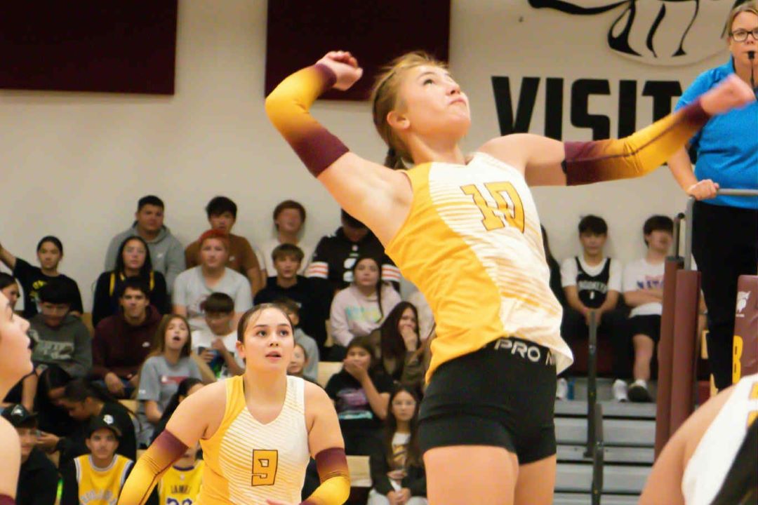 Volleyball